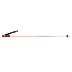 Zjazdové palice Rossignol Hero Carbon - 2025/26