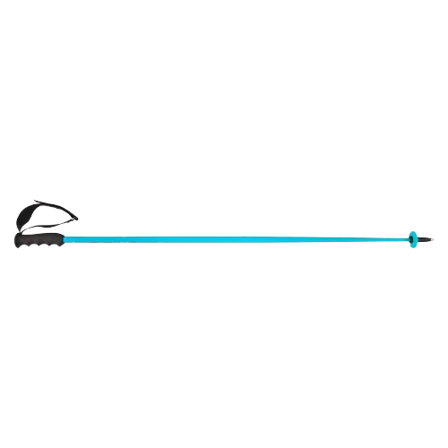Zjazdové palice HEAD Worldcup SL Speed Blue - 2025/26