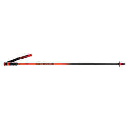 Zjazdové palice Rossignol Hero Carbon - 2025/26
