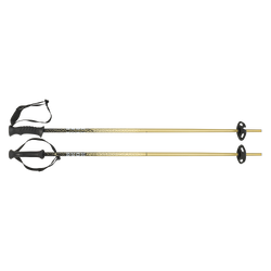 Zjazdové palice HEAD Kore Team Metallic Sand/Black - 2025/26