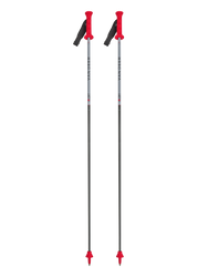 Zjazdové palice Van Deer Race GS Carbon - 2025/26
