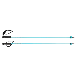 Zjazdové palice HEAD Worldcup Rebels Carbon Speed Blue - 2025/26