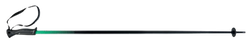 Zjazdové palice HEAD Frontside Black/Green - 2024/25