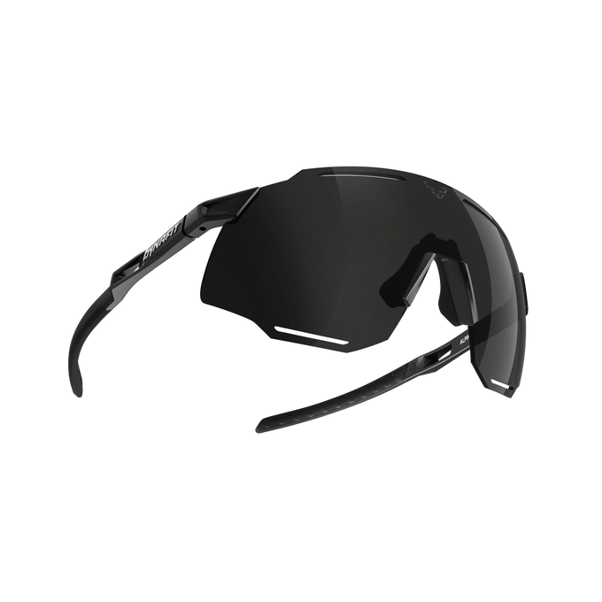 Slnečné okuliare Dynafit Alpine Sunglasses Black Out/Nimbus- 2025/26