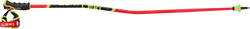 Zjazdove palice LEKI WCR GS Carbon 3D Red - 2025/26
