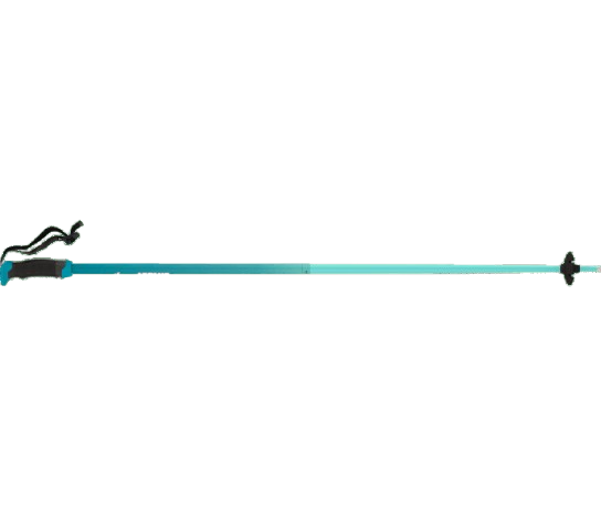 Zjazdové palice Atomic Redster X SQS Teal Tension - 2025/26