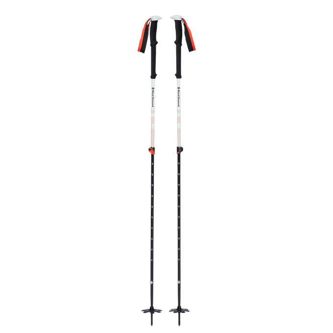 Turistické palice Black Diamond Expedition 2 Ski Poles  - 2023/24