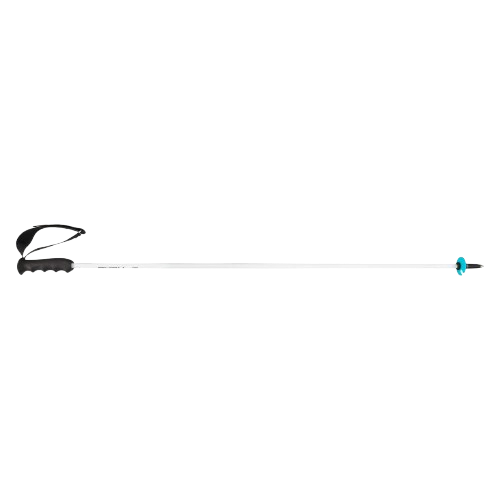 Zjazdové palice HEAD Worldcup Rebels Carbon White - 2025/26