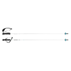 Zjazdové palice HEAD Worldcup Rebels Carbon White - 2025/26