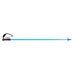 Zjazdové palice HEAD Worldcup SL Speed Blue - 2025/26