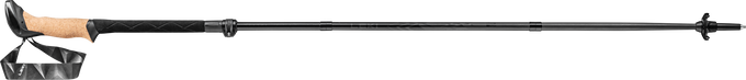 LEKI Black Series FX Carbon