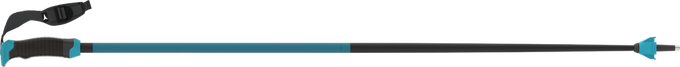 Zjazdové palice Atomic Redster X Carbon SQS Teal Blue – 2024/25