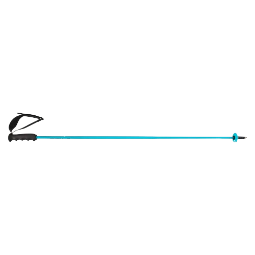 Zjazdové palice HEAD Worldcup Rebels Carbon Speed Blue - 2025/26