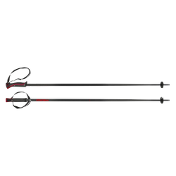 Zjazdové palice HEAD Frontside Black/Red - 2025/26