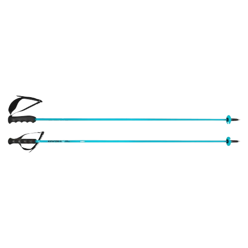Zjazdové palice HEAD Worldcup Rebels Carbon Speed Blue - 2025/26