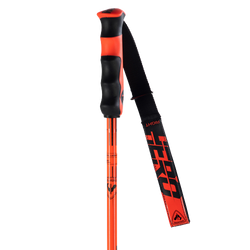 Zjazdové palice Rossignol Hero Carbon - 2025/26