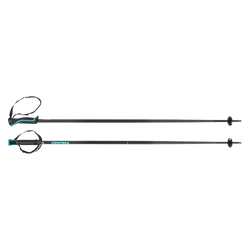 Zjazdové palice HEAD Frontside Black/SpeedBlue - 2025/26