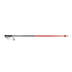 Zjazdové palice Nordica Dobermann Race Black Red - 2025/26