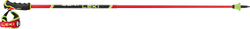 Zjazdové palice LEKI Venom GS 3D Red - 2025/26