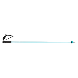 Zjazdové palice HEAD Worldcup Rebels Carbon Speed Blue - 2025/26