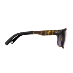 Slnečné okuliare POC Require Tortoise Brown/Clarity Road/Sunny Silver