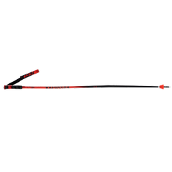Zjazdové palice Rossignol Hero GS-SG - 2025/26