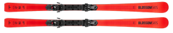Zjazdové lyže Blossom Skis Numero Uno XC WCR 14 + ST 14 - 2025/26
