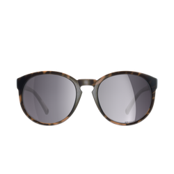 Slnečné okuliare POC Know Tortoise Brown/Clarity Road/Sunny Silver