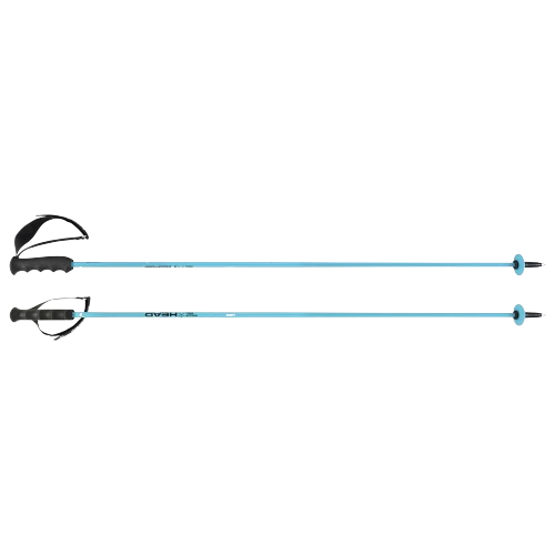 Zjazdové palice HEAD Worldcup Rebels Carbon Speed Blue - 2024/25