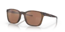 Matte Brown Tortoise || Prizm Tungsten