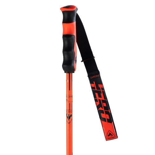 Zjazdové palice Rossignol Hero Carbon - 2025/26