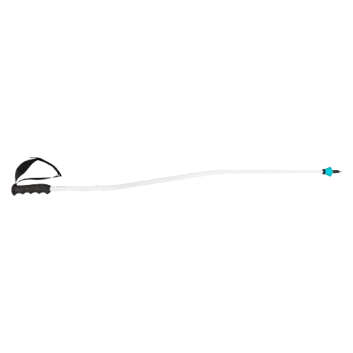 Zjazdové palice HEAD Worldcup SG White - 2025/26